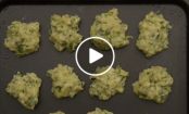 VIDEO: Crispy Zucchini Potato Cakes
